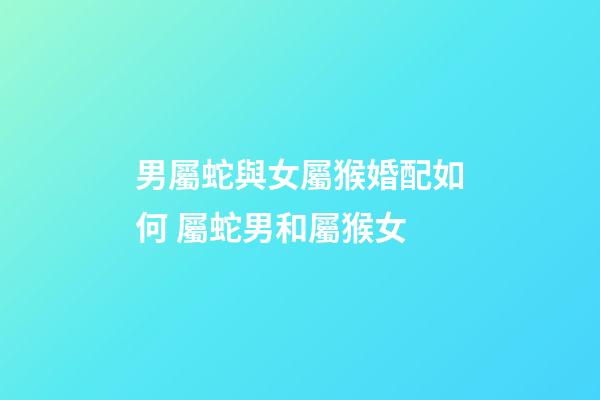 男屬蛇與女屬猴婚配如何 屬蛇男和屬猴女-第1張-觀點(diǎn)-玄機(jī)派